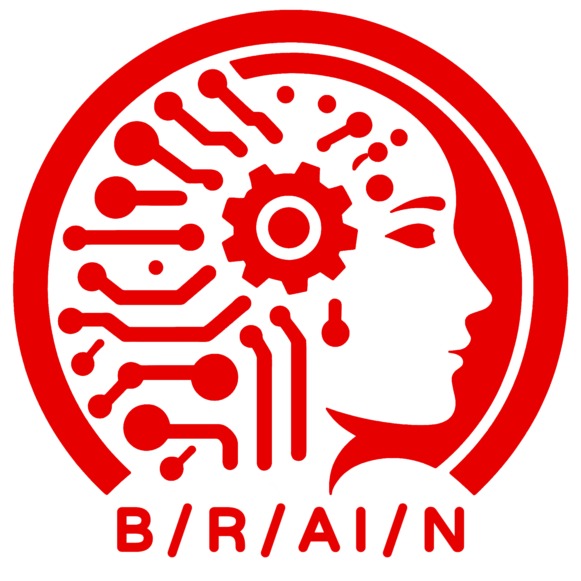 NUCIDA B/R/AI/N TestWork